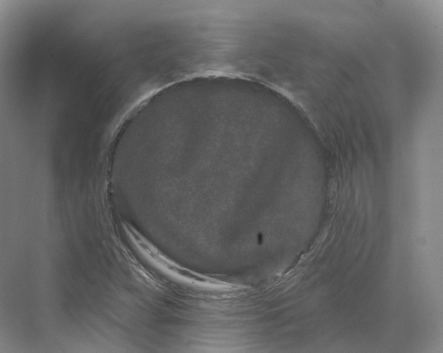 X0000069791359200606021402