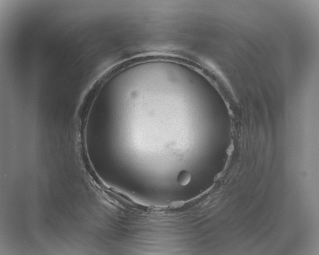 X0000069791360200606021402