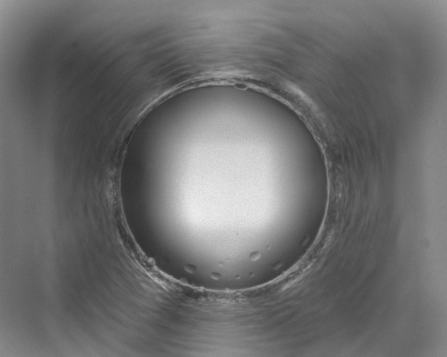 X0000069791361200606021402