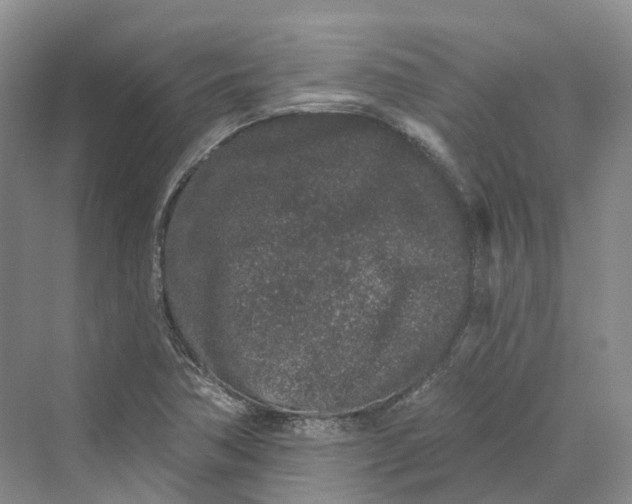 X0000069791362200606021402