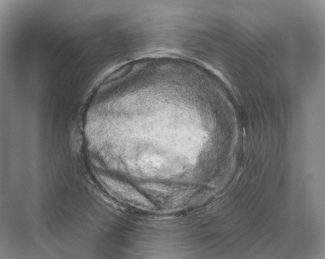 X0000069791363200606021402