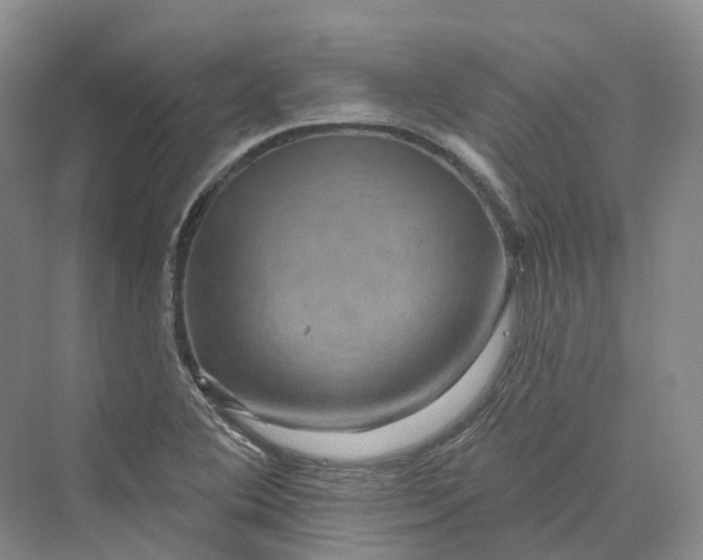 X0000069791364200606021402