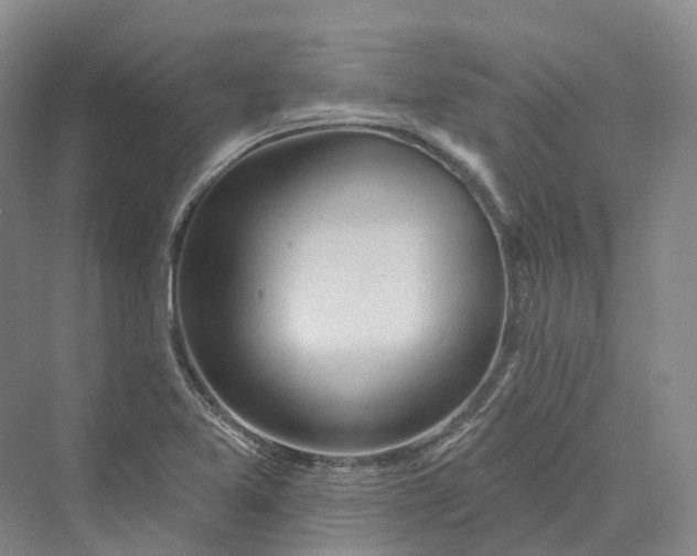 X0000069791365200606021402