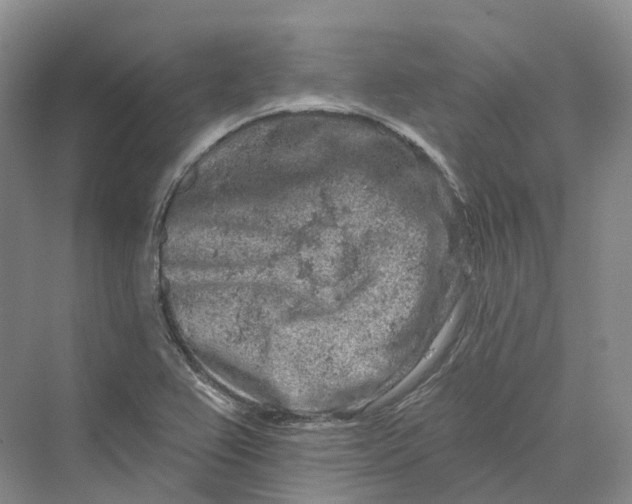 X0000069791367200606021402