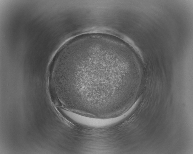 X0000069791368200606021402