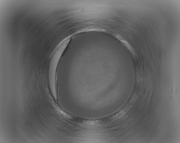 X0000069791369200606021402