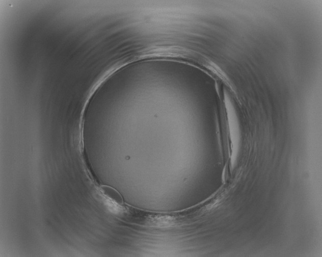 X0000069791370200606021402