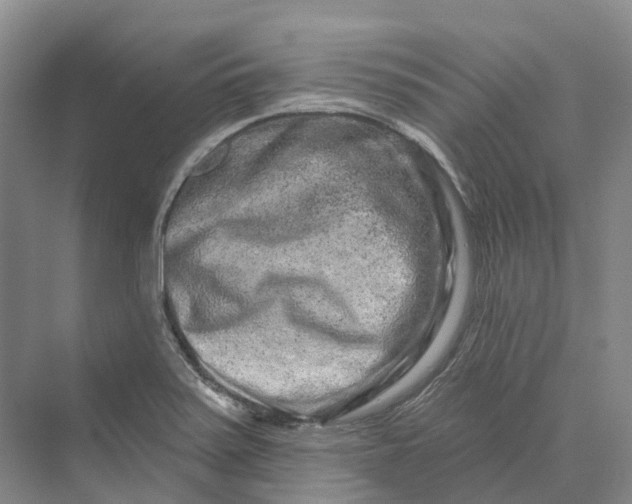 X0000069791371200606021402