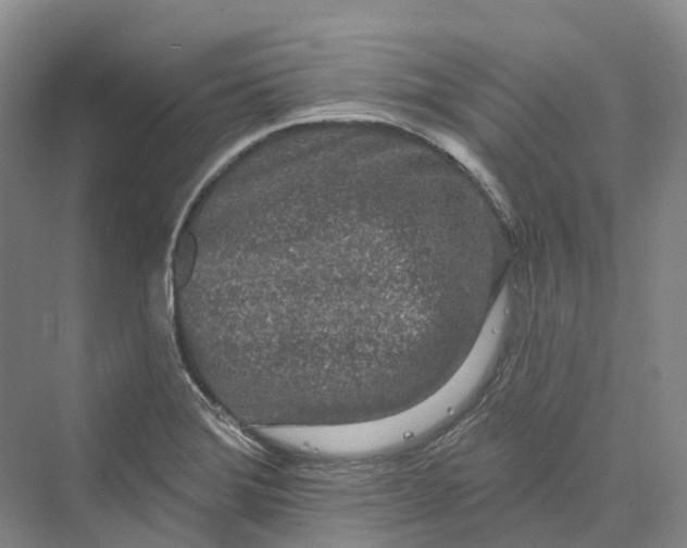 X0000069791372200606021402