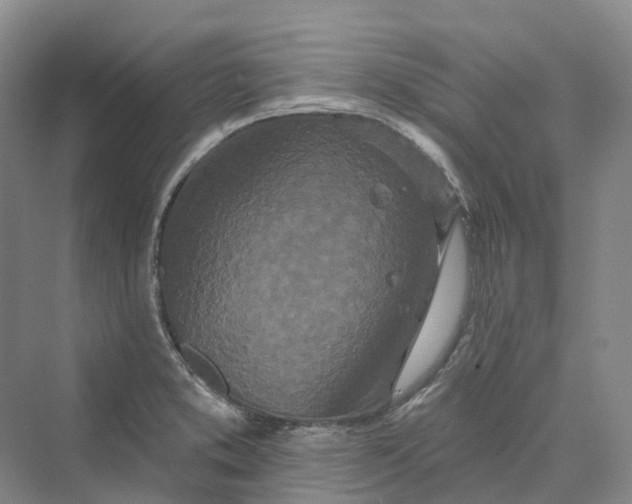 X0000069791373200606021402