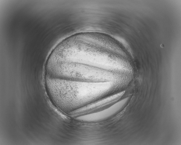 X0000069791374200606021402