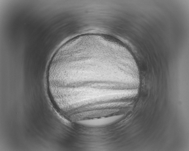 X0000069791375200606021402