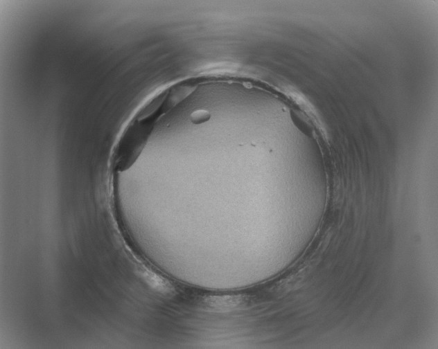 X0000069791376200606021402