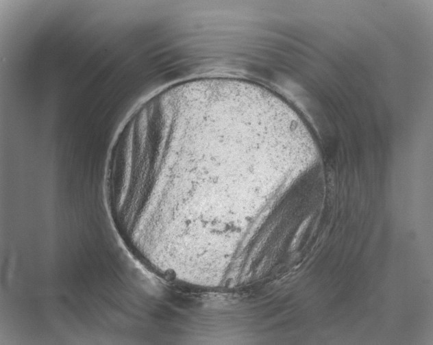 X0000069791379200606021402