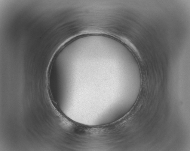 X0000069791380200606021402