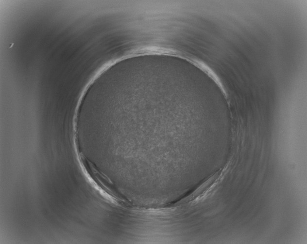 X0000069791381200606021402