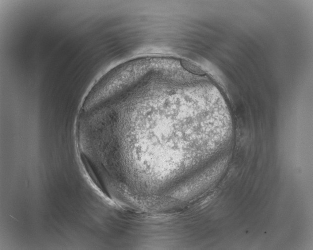 X0000069791382200606021402