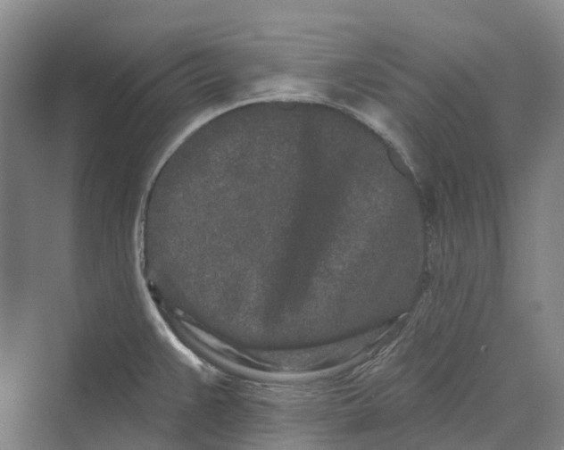 X0000069791383200606021402