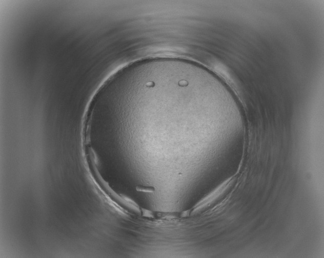 X0000069791384200606021402