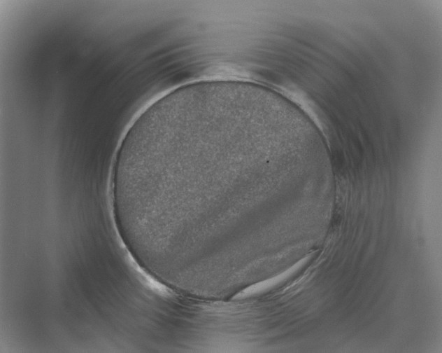 X0000069791387200606021402