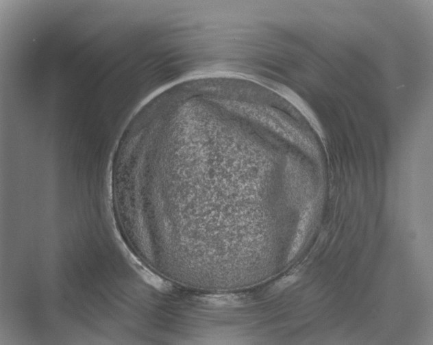 X0000069791388200606021402