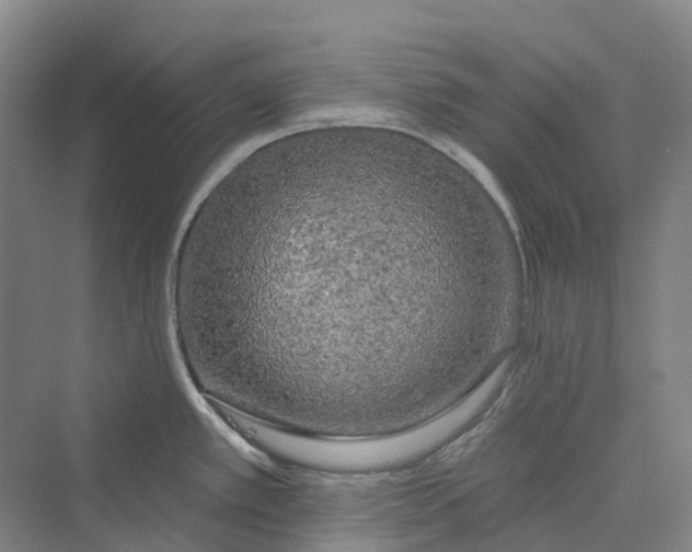 X0000069791389200606021402