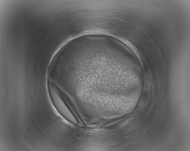 X0000069791390200606021402