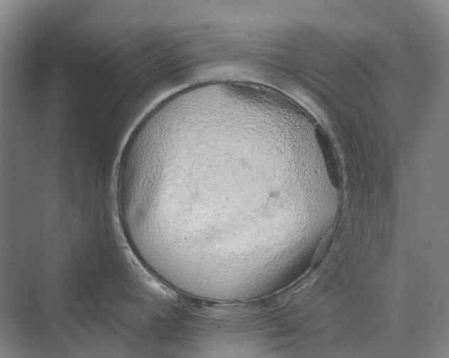 X0000069791392200606021402