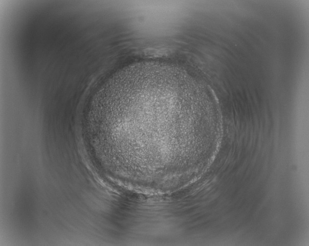 X0000069791393200606021401