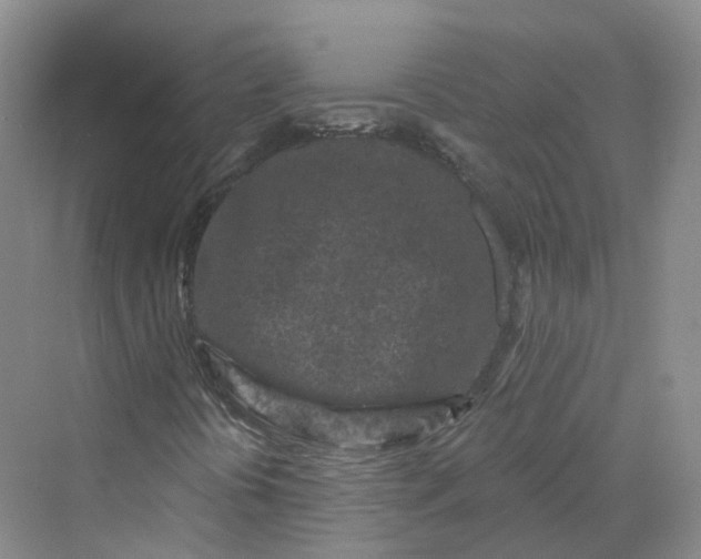 X0000069791394200606021401