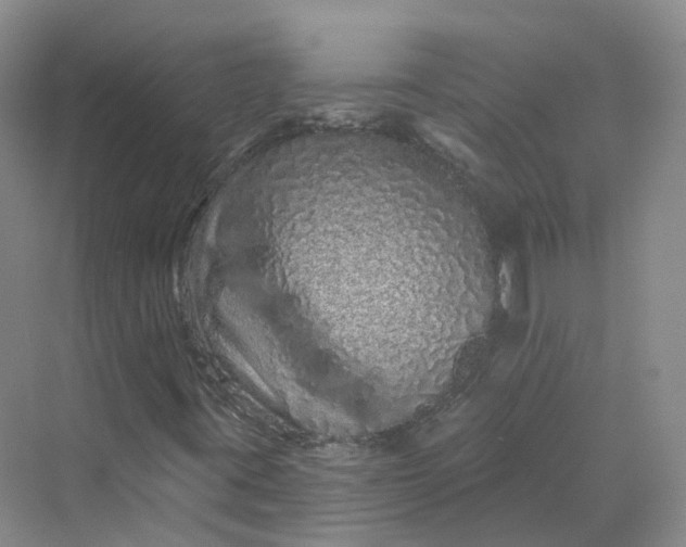 X0000069791395200606021401