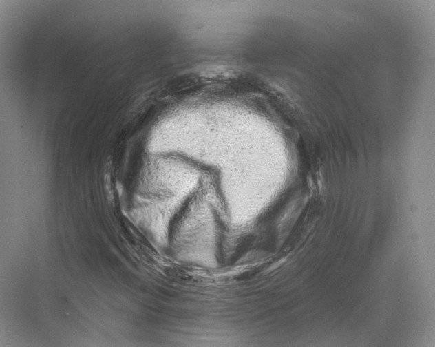 X0000069791396200606021401