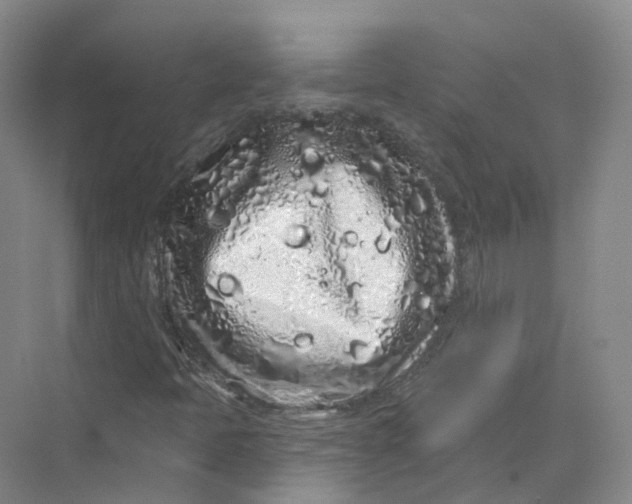 X0000069791397200606021401