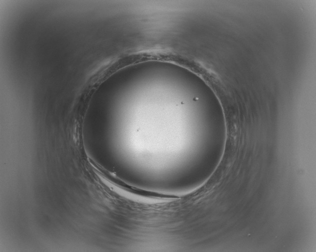 X0000069791398200606021401