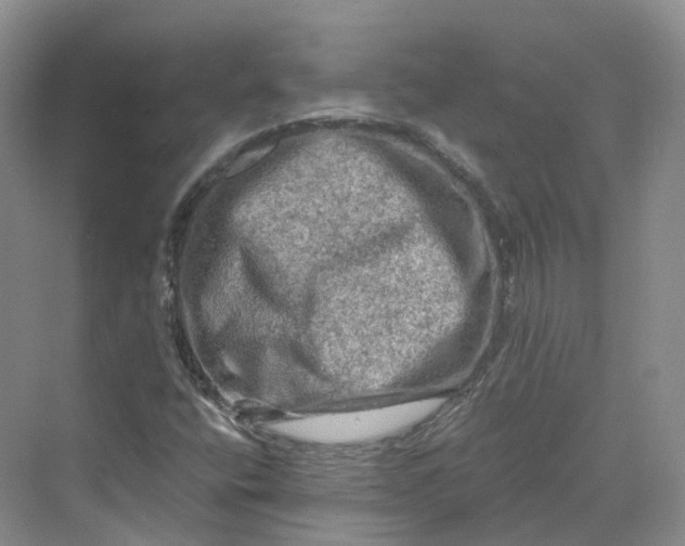 X0000069791400200606021401