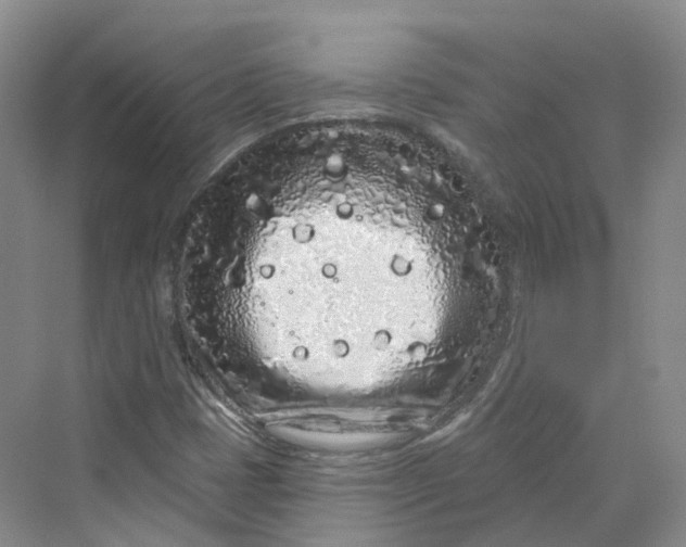 X0000069791401200606021401