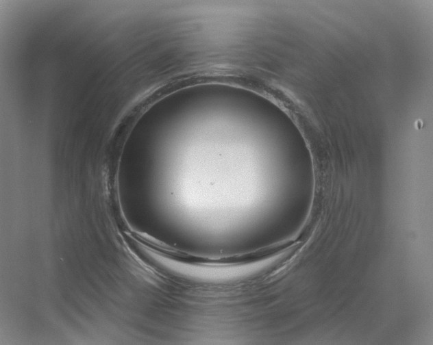 X0000069791402200606021401