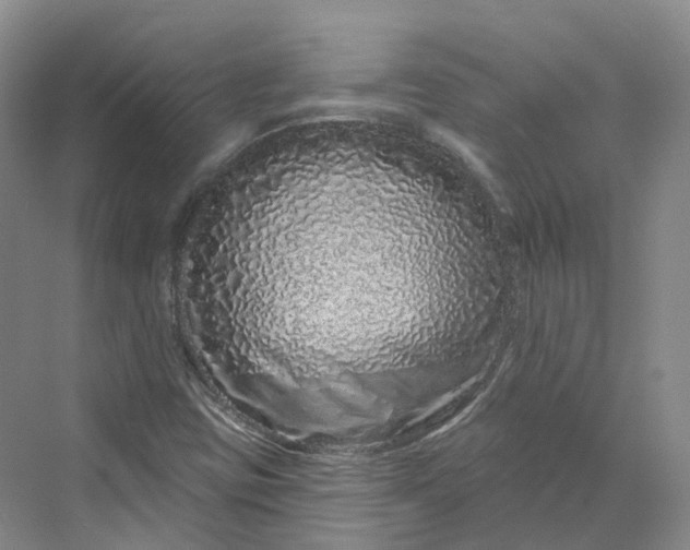 X0000069791403200606021401