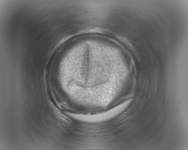 X0000069791404200606021401