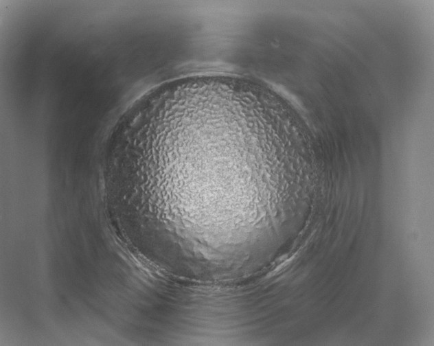 X0000069791407200606021401