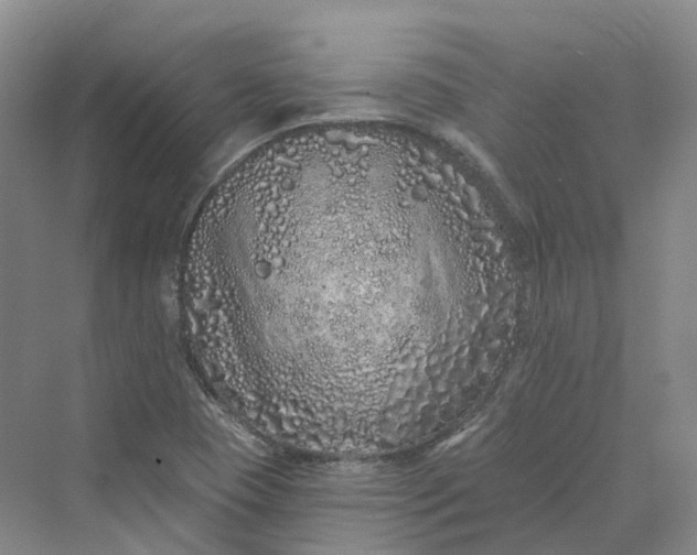 X0000069791409200606021401