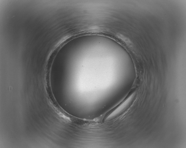 X0000069791410200606021401