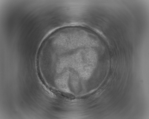 X0000069791412200606021401