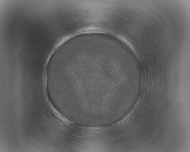 X0000069791413200606021401