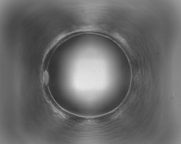 X0000069791414200606021401