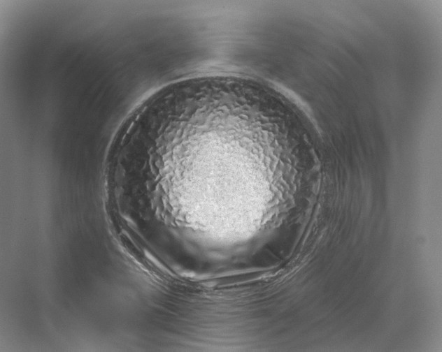 X0000069791415200606021401