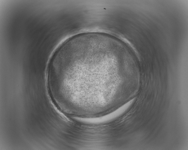 X0000069791416200606021401