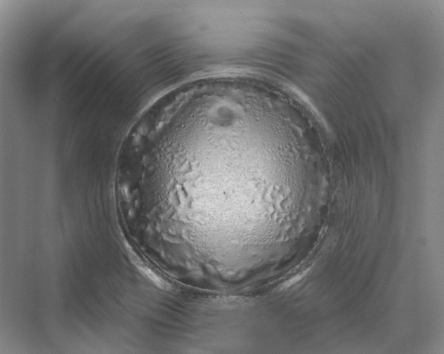 X0000069791417200606021401