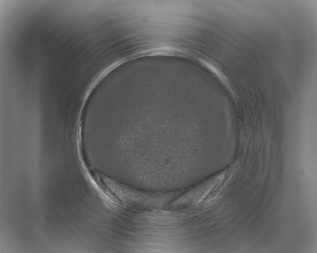 X0000069791418200606021401