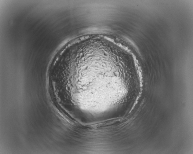 X0000069791419200606021401